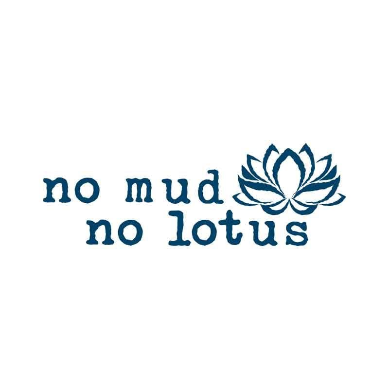 no mud no lotus